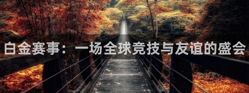 世界杯比赛:白金赛事:一场全球竞技与友谊的盛会