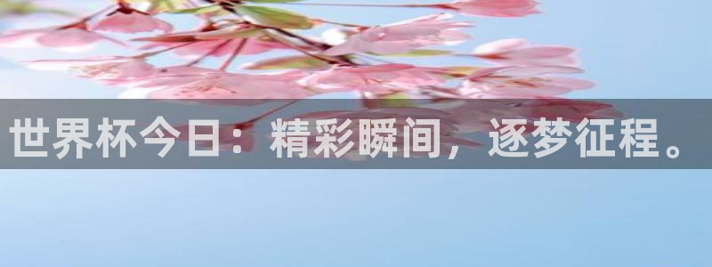 26世界杯:世界杯今日:精彩瞬间,逐梦征程。