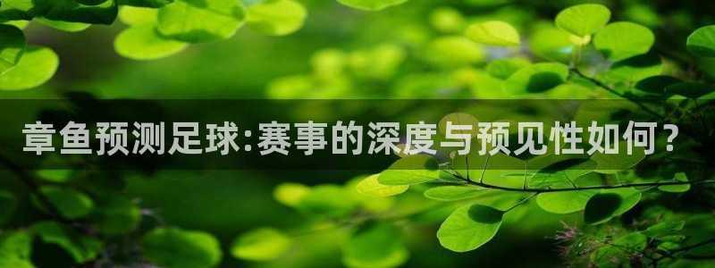 欧联杯直播:章鱼预测足球:赛事的深度与预见性如何?