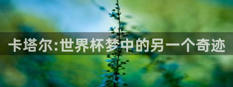 女足世界杯赛程:卡塔尔:世界杯梦中的另一个奇迹