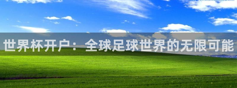 今年的世界杯:世界杯开户:全球足球世界的无限可能